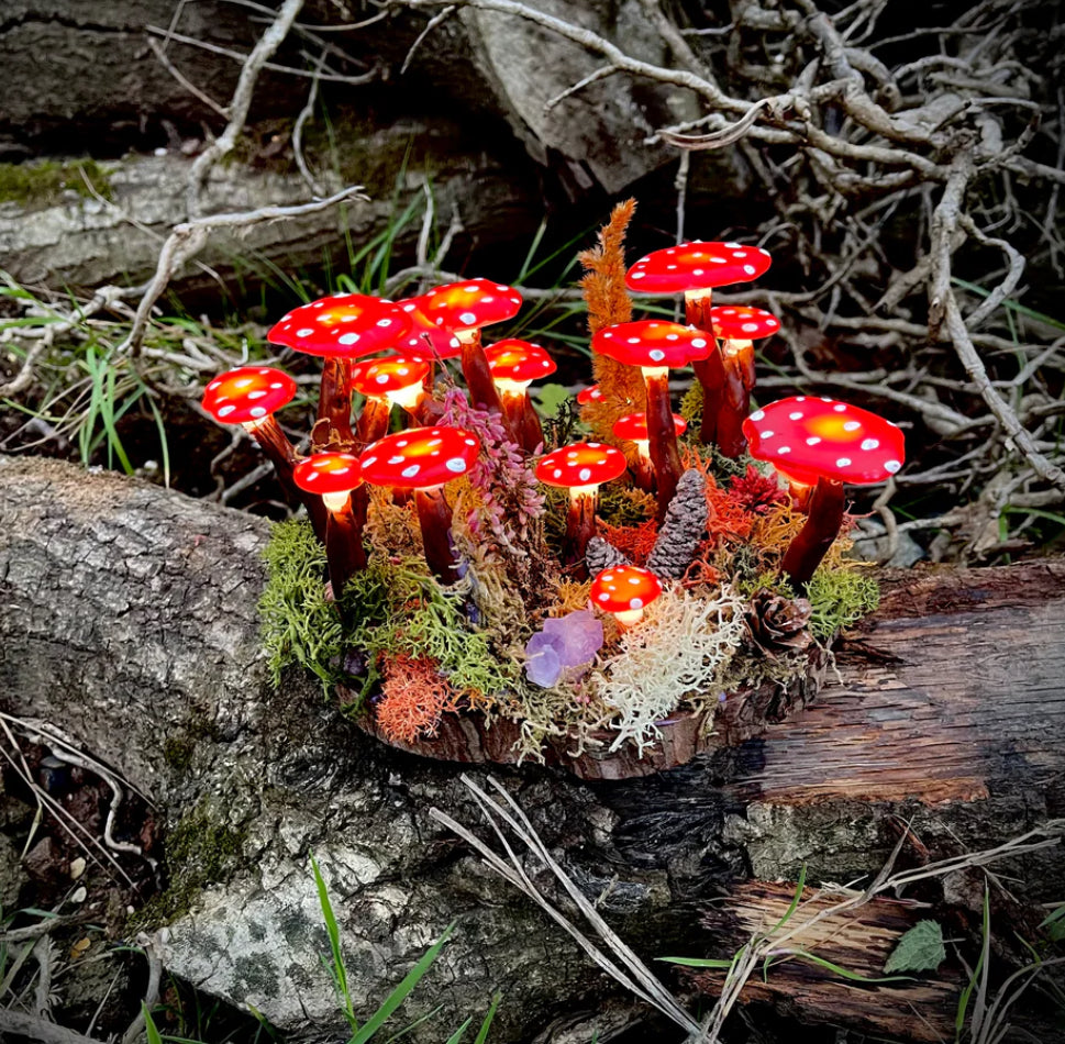Mushroom lights (Medium)